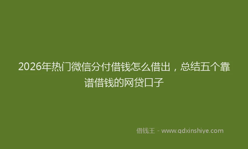 2026年热门微信分付借钱怎么借出，总结五个靠谱借钱的网贷口子