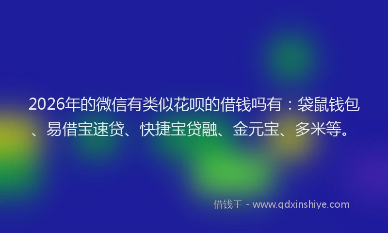 2026年的微信有类似花呗的借钱吗有：袋鼠钱包、易借宝速贷、快捷宝贷融、金元宝、多米等。