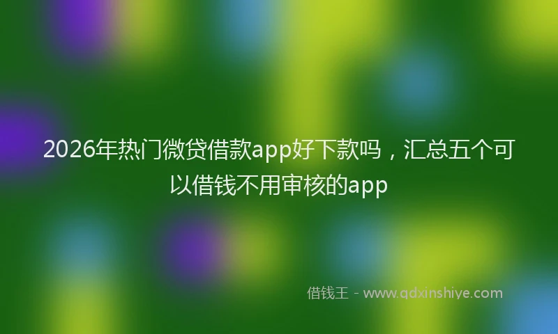 2026年热门微贷借款app好下款吗，汇总五个可以借钱不用审核的app