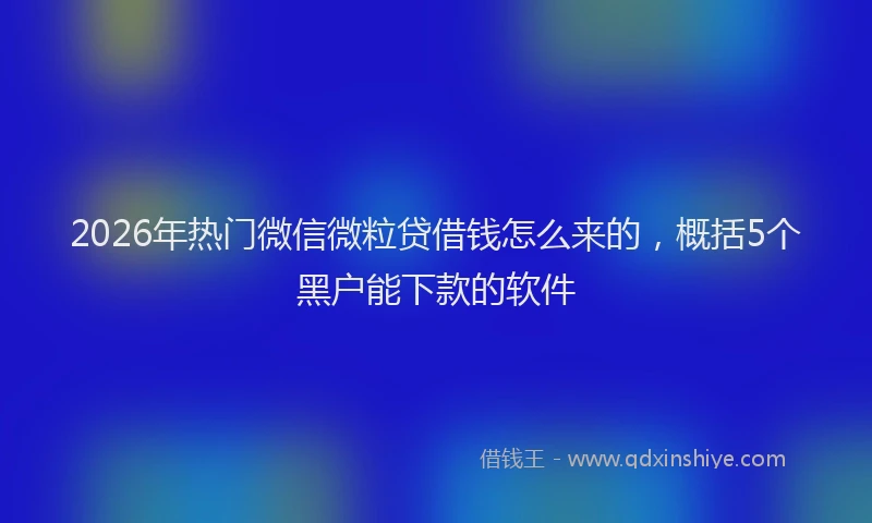 2026年热门微信微粒贷借钱怎么来的，概括5个黑户能下款的软件