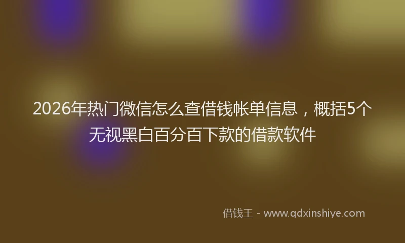 2026年热门微信怎么查借钱帐单信息，概括5个无视黑白百分百下款的借款软件