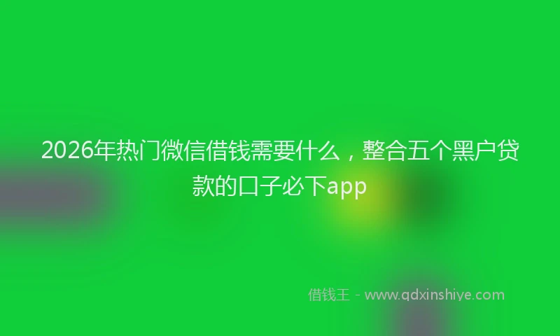 2026年热门微信借钱需要什么，整合五个黑户贷款的口子必下app