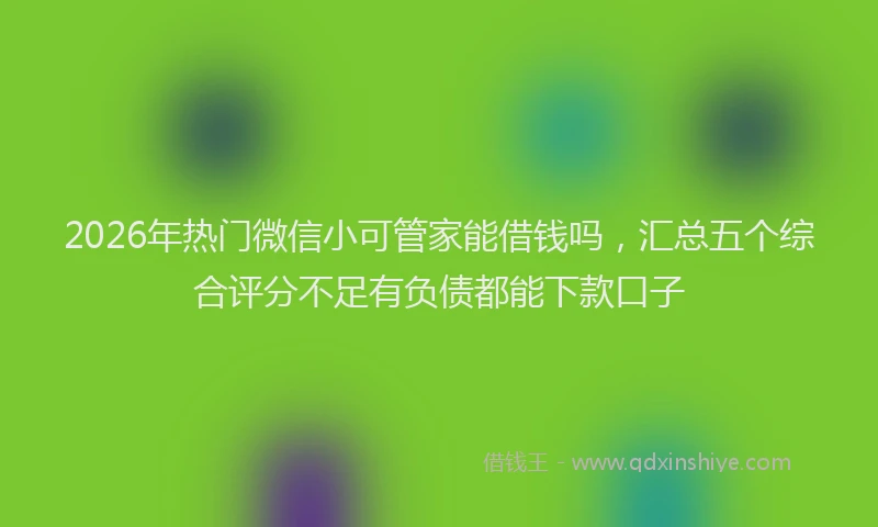 2026年热门微信小可管家能借钱吗，汇总五个综合评分不足有负债都能下款口子