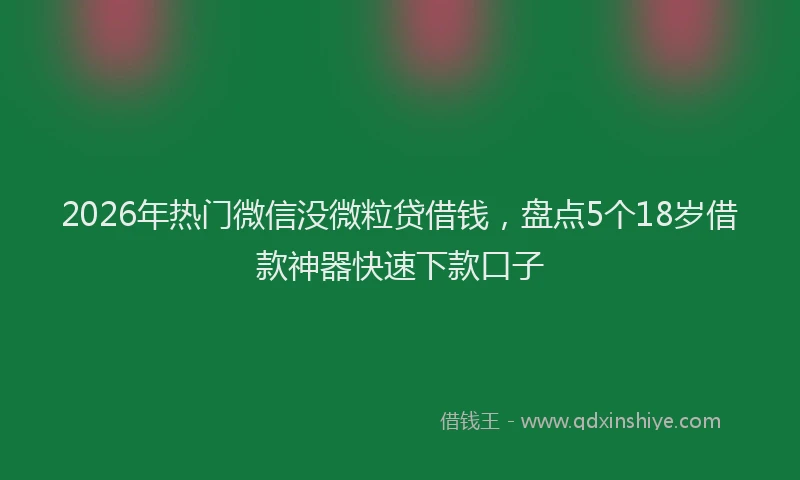 2026年热门微信没微粒贷借钱，盘点5个18岁借款神器快速下款口子
