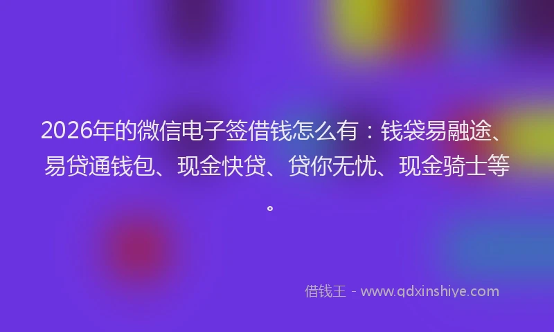 2026年的微信电子签借钱怎么有：钱袋易融途、易贷通钱包、现金快贷、贷你无忧、现金骑士等。
