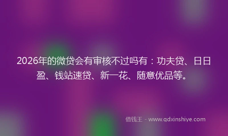 2026年的微贷会有审核不过吗有:功夫贷、日日盈、钱站速贷、新一花、随意优品等。
