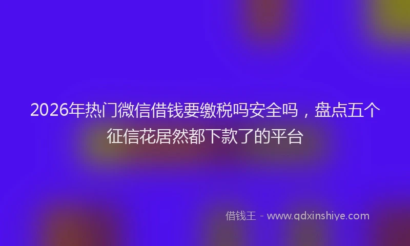 2026年热门微信借钱要缴税吗安全吗，盘点五个征信花居然都下款了的平台