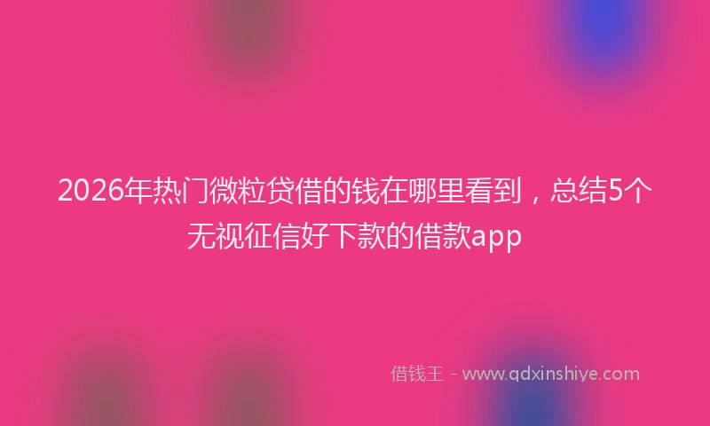 2026年热门微粒贷借的钱在哪里看到,总结5个无视征信好下款的借款app