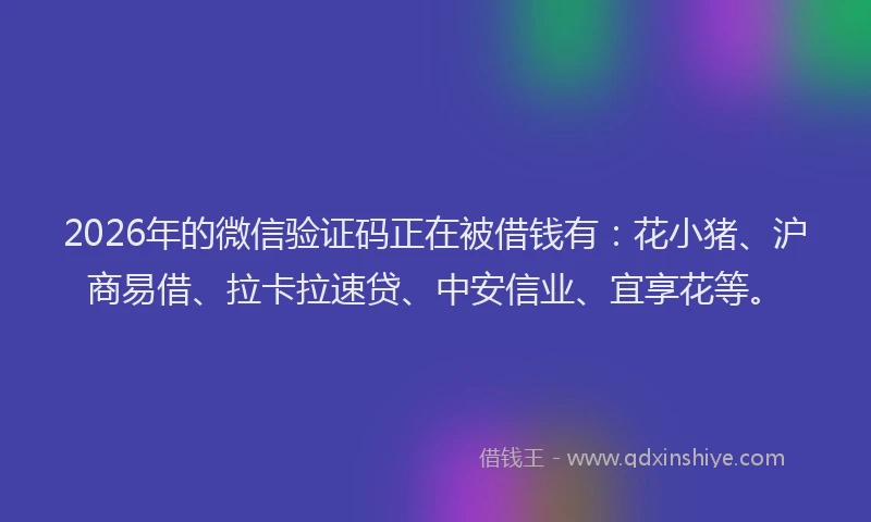 2026年的微信验证码正在被借钱有：花小猪、沪商易借、拉卡拉速贷、中安信业、宜享花等。