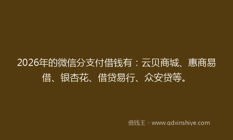 2026年的微信分支付借钱有：云贝商城、惠商易借、银杏花、借贷易行、众安贷等。