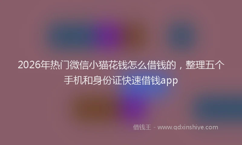 2026年热门微信小猫花钱怎么借钱的，整理五个手机和身份证快速借钱app