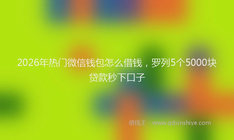 2026年热门微信钱包怎么借钱，罗列5个5000块贷款秒下口子