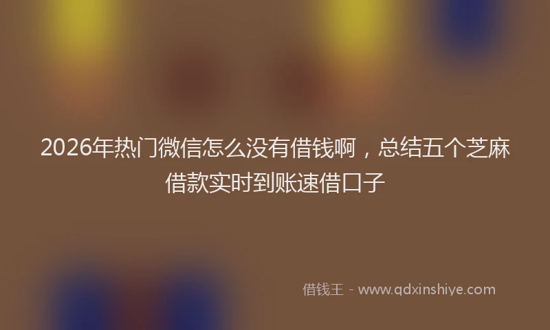 2026年热门微信怎么没有借钱啊，总结五个芝麻借款实时到账速借口子