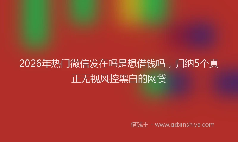 2026年热门微信发在吗是想借钱吗，归纳5个真正无视风控黑白的网贷