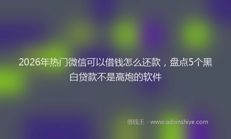 2026年热门微信可以借钱怎么还款，盘点5个黑白贷款不是高炮的软件