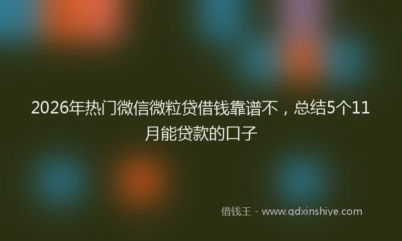 2026年热门微信微粒贷借钱靠谱不，总结5个11月能贷款的口子