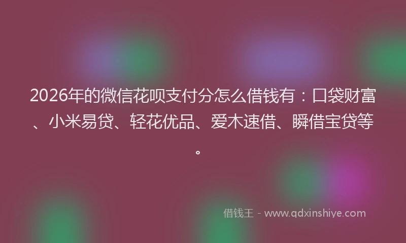 2026年的微信花呗支付分怎么借钱有：口袋财富、小米易贷、轻花优品、爱木速借、瞬借宝贷等。