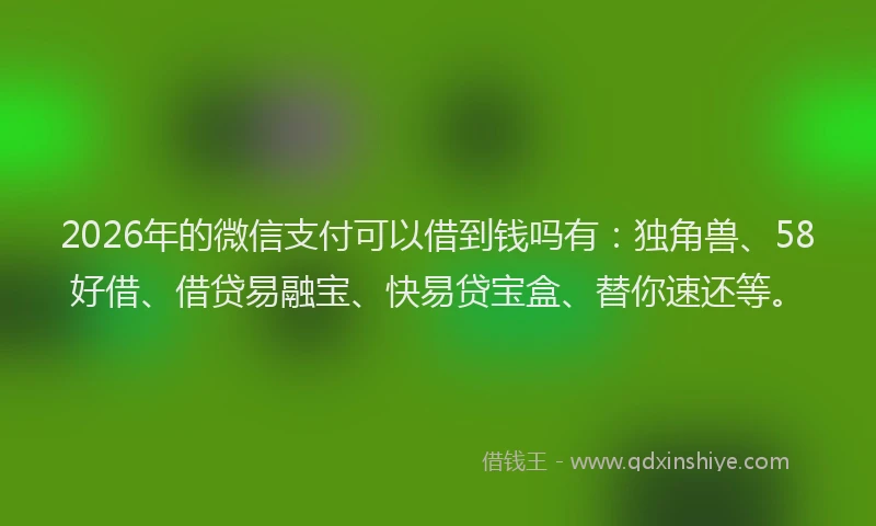 2026年的微信支付可以借到钱吗有：独角兽、58好借、借贷易融宝、快易贷宝盒、替你速还等。