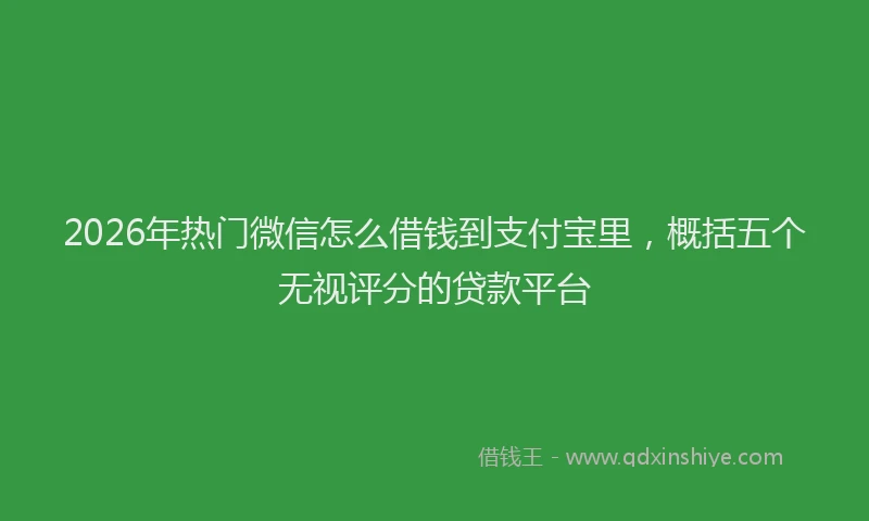 2026年热门微信怎么借钱到支付宝里，概括五个无视评分的贷款平台