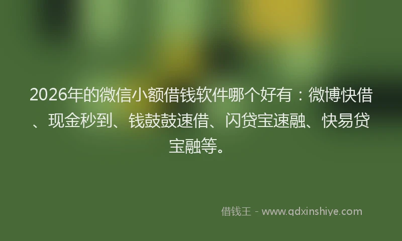 2026年的微信小额借钱软件哪个好有：微博快借、现金秒到、钱鼓鼓速借、闪贷宝速融、快易贷宝融等。
