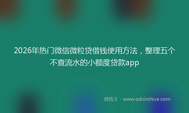 2026年热门微信微粒贷借钱使用方法，整理五个不查流水的小额度贷款app