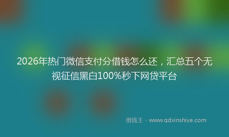 2026年热门微信支付分借钱怎么还，汇总五个无视征信黑白100%秒下网贷平台