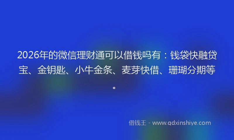 2026年的微信理财通可以借钱吗有：钱袋快融贷宝、金钥匙、小牛金条、麦芽快借、珊瑚分期等。