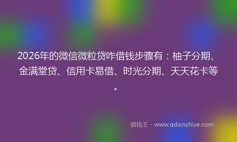 2026年的微信微粒贷咋借钱步骤有：柚子分期、金满堂贷、信用卡易借、时光分期、天天花卡等。