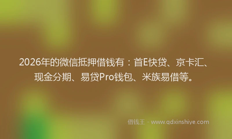 2026年的微信抵押借钱有：首E快贷、京卡汇、现金分期、易贷Pro钱包、米族易借等。