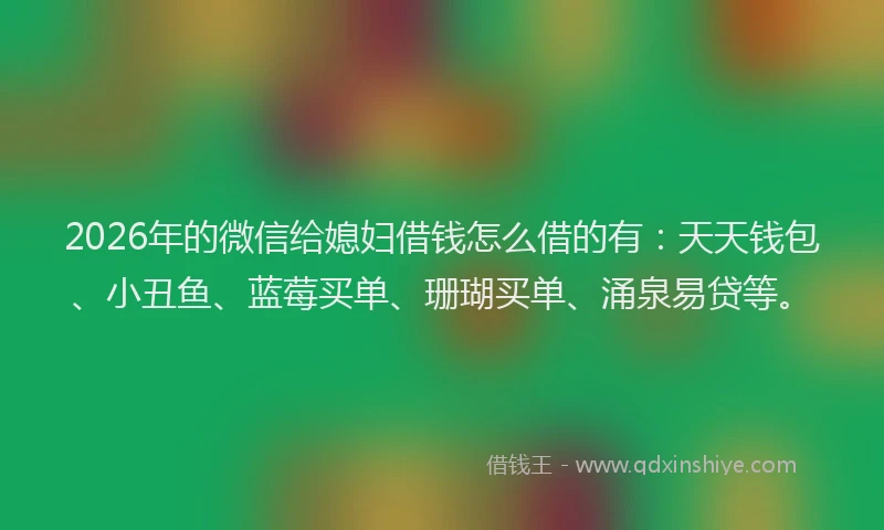 2026年的微信给媳妇借钱怎么借的有:天天钱包、小丑鱼、蓝莓买单、珊瑚买单、涌泉易贷等。