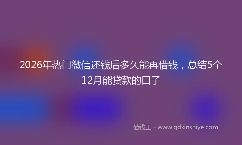 2026年热门微信还钱后多久能再借钱，总结5个12月能贷款的口子