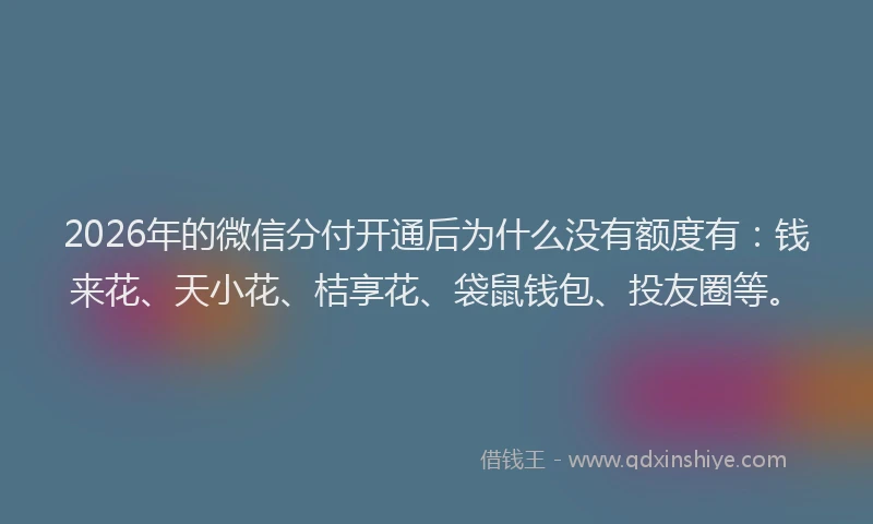 2026年的微信分付开通后为什么没有额度有：钱来花、天小花、桔享花、袋鼠钱包、投友圈等。