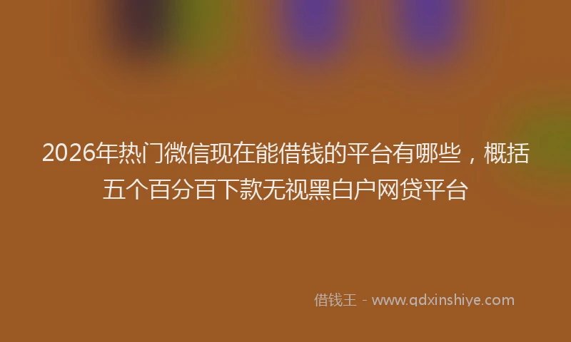 2026年热门微信现在能借钱的平台有哪些，概括五个百分百下款无视黑白户网贷平台