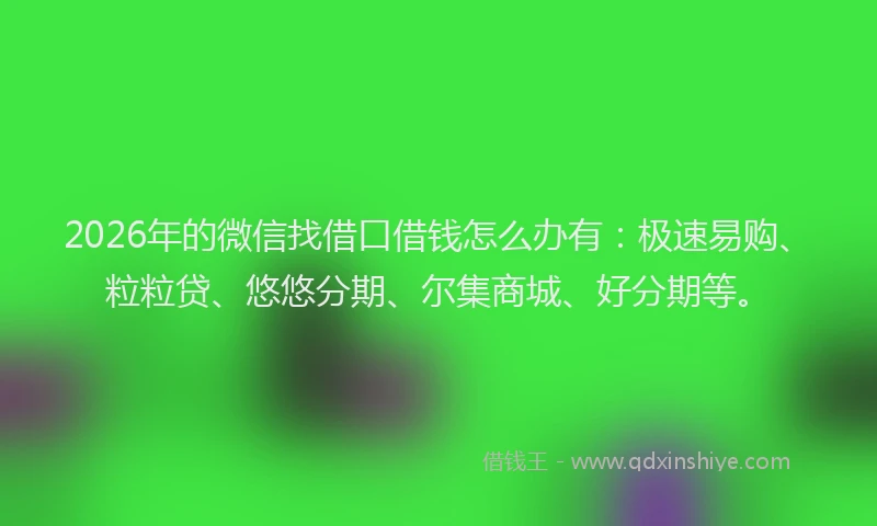 2026年的微信找借口借钱怎么办有:极速易购、粒粒贷、悠悠分期、尔集商城、好分期等。