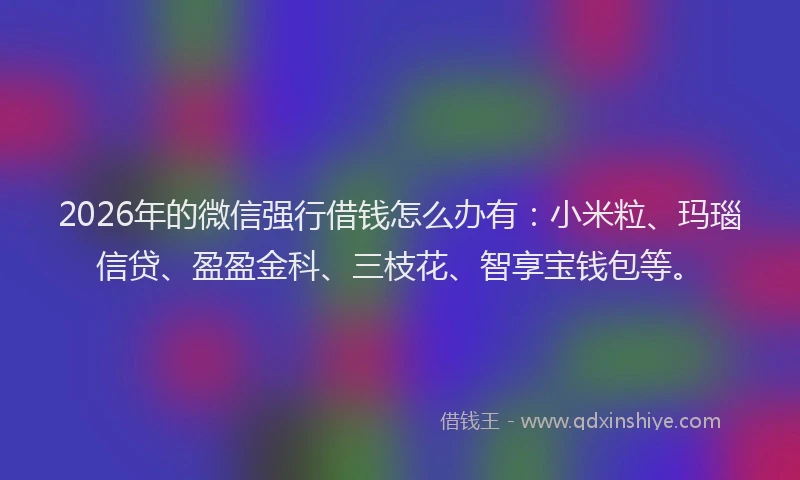 2026年的微信强行借钱怎么办有：小米粒、玛瑙信贷、盈盈金科、三枝花、智享宝钱包等。