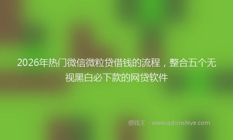 2026年热门微信微粒贷借钱的流程，整合五个无视黑白必下款的网贷软件