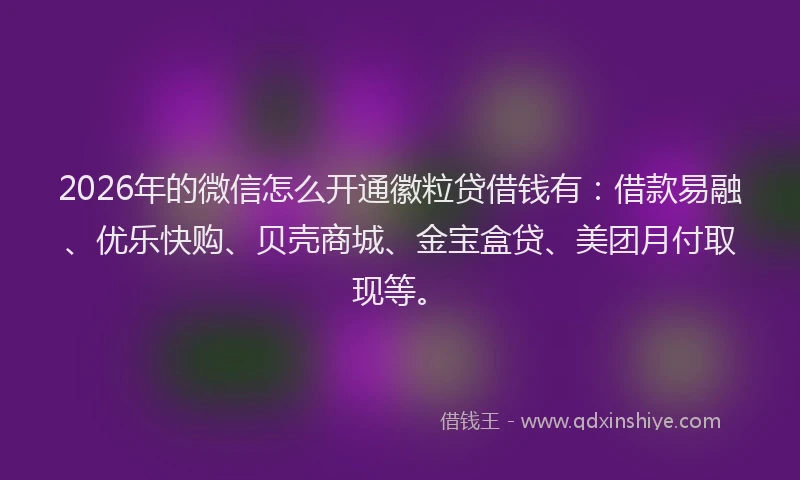 2026年的微信怎么开通徽粒贷借钱有：借款易融、优乐快购、贝壳商城、金宝盒贷、美团月付取现等。