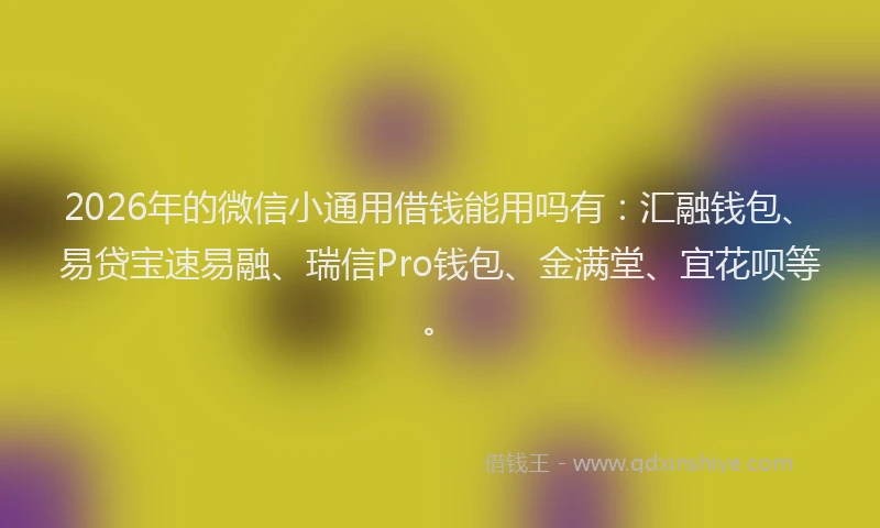 2026年的微信小通用借钱能用吗有：汇融钱包、易贷宝速易融、瑞信Pro钱包、金满堂、宜花呗等。