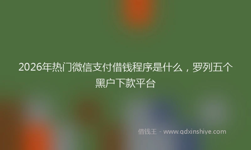 2026年热门微信支付借钱程序是什么,罗列五个黑户下款平台
