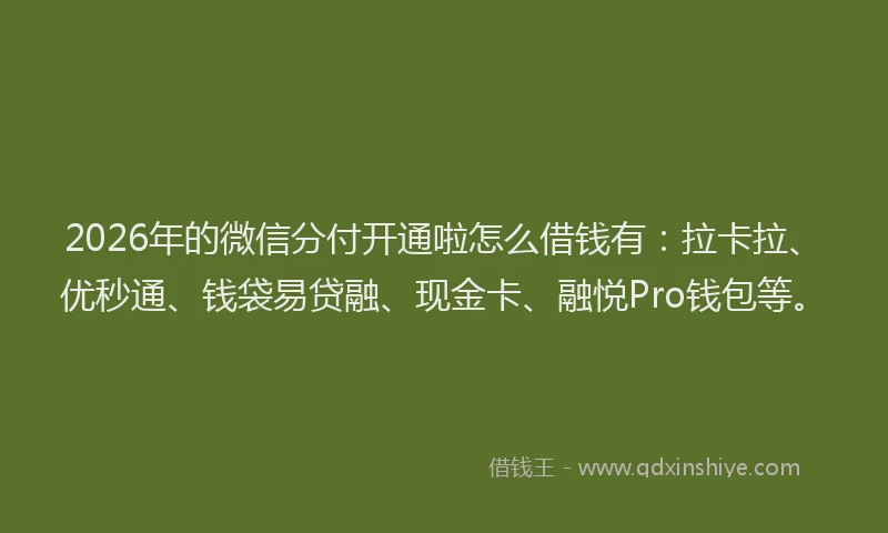 2026年的微信分付开通啦怎么借钱有：拉卡拉、优秒通、钱袋易贷融、现金卡、融悦Pro钱包等。
