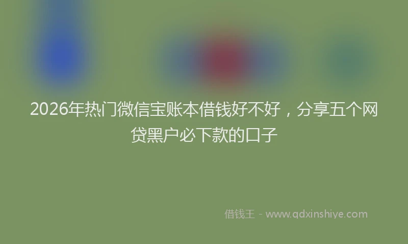 2026年热门微信宝账本借钱好不好，分享五个网贷黑户必下款的口子