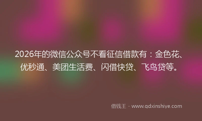 2026年的微信公众号不看征信借款有：金色花、优秒通、美团生活费、闪借快贷、飞鸟贷等。