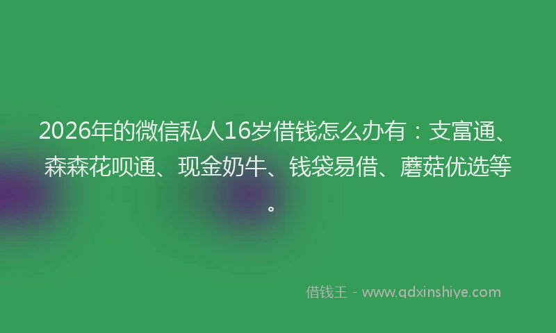 2026年的微信私人16岁借钱怎么办有：支富通、森森花呗通、现金奶牛、钱袋易借、蘑菇优选等。