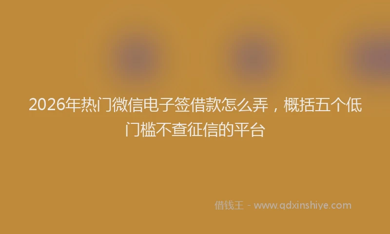 2026年热门微信电子签借款怎么弄，概括五个低门槛不查征信的平台