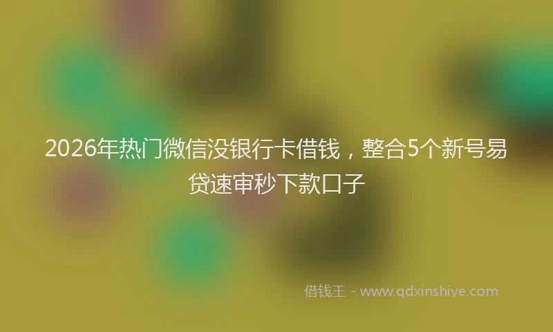 2026年热门微信没银行卡借钱，整合5个新号易贷速审秒下款口子