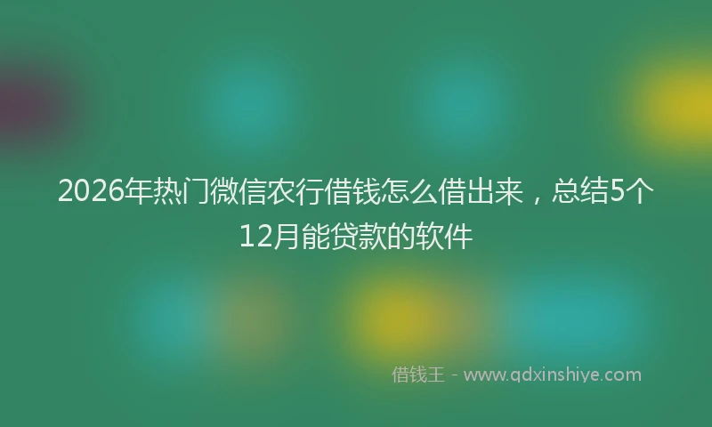 2026年热门微信农行借钱怎么借出来，总结5个12月能贷款的软件