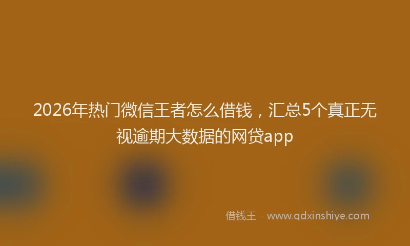 2026年热门微信王者怎么借钱，汇总5个真正无视逾期大数据的网贷app