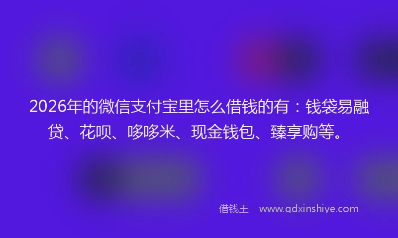 2026年的微信支付宝里怎么借钱的有：钱袋易融贷、花呗、哆哆米、现金钱包、臻享购等。