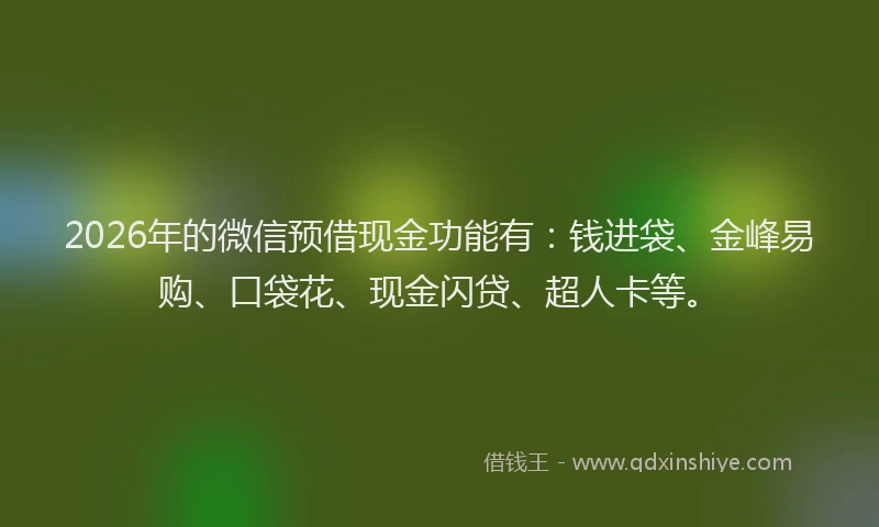 2026年的微信预借现金功能有：钱进袋、金峰易购、口袋花、现金闪贷、超人卡等。