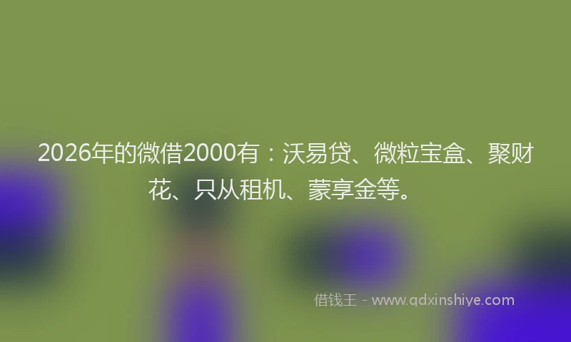 2026年的微借2000有：沃易贷、微粒宝盒、聚财花、只从租机、蒙享金等。